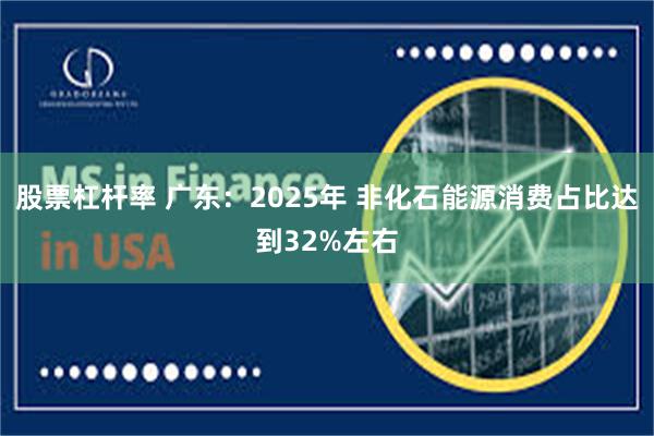 股票杠杆率 广东：2025年 非化石能源消费占比达到32%左右