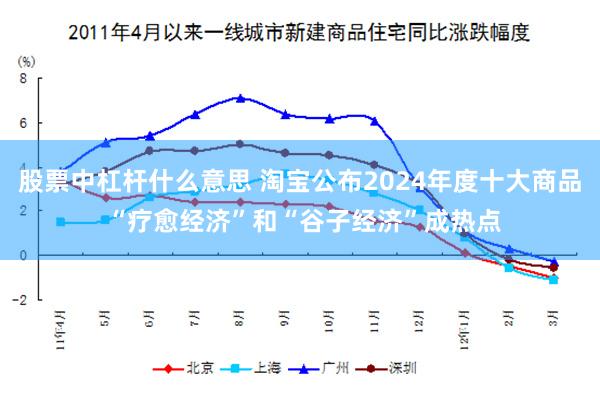 股票中杠杆什么意思 淘宝公布2024年度十大商品 “疗愈经济”和“谷子经济”成热点