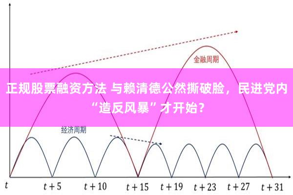 正规股票融资方法 与赖清德公然撕破脸，民进党内“造反风暴”才开始？