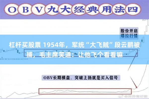 杠杆买股票 1954年，军统“大飞贼”段云鹏被捕，毛主席笑道：让他飞个看看嘛