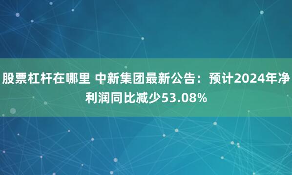 股票杠杆在哪里 中新集团最新公告：预计2024年净利润同比减少53.08%