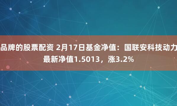 品牌的股票配资 2月17日基金净值：国联安科技动力最新净值1.5013，涨3.2%