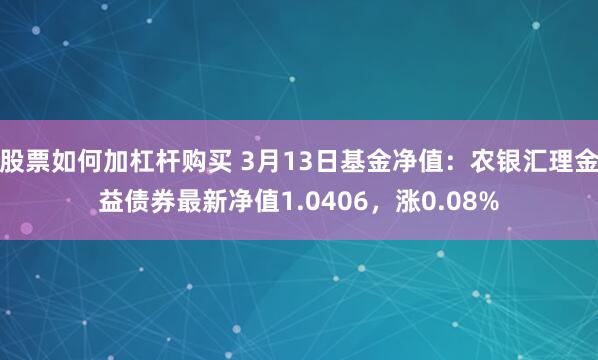 股票如何加杠杆购买 3月13日基金净值：农银汇理金益债券最新净值1.0406，涨0.08%